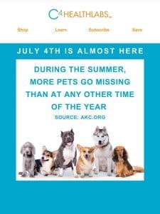 Pets， Summertime and CBD