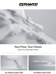 Pick Your Price Airguns!