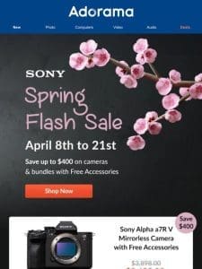 Picture Perfect Deals: Sony Spring Flash Sale is ON ?