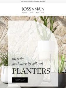 Planters: price-drop picks sure to sell out →