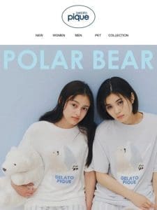 Polar Bear Collection