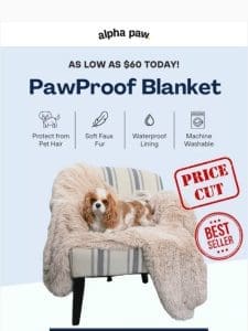 ?? Price Cut on the PawProof? Blanket!