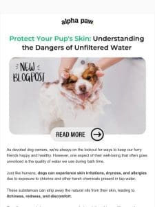 Protect Your Pup’s Skin: The Dangers of Unfiltered Water