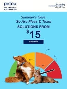 Protect your dog with flea & tick solutions starting at $15