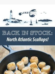 RESTOCK ALERT: North Atlantic Scallops ?