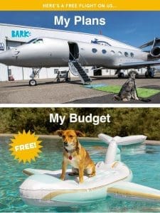 Re: Your FREE ticket to board BARK Air…