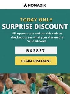 Reveal Your Surprise Code at Checkout