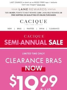 SEMI-ANNUAL SALE BRAS $19.99 & up (and going fast)!