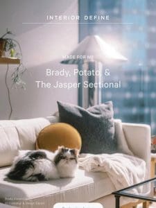 SPOTLIGHT: Potato the cat & the Jasper sectional