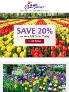 ? Save 20% on fall items | Dividing iris