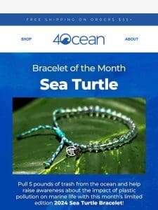 Sea Turtles: Unveiling the Wonders of the Sea ?