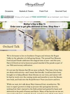 See what’s happening in the orchards.