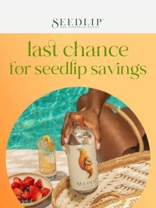 Set off your summer with Seedlip