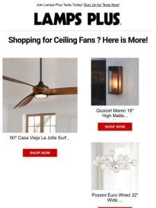 Shopping for Ceiling Fans ?