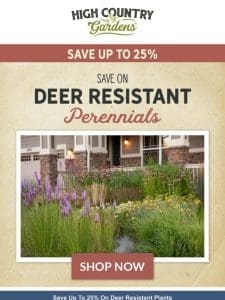 Spring Is Here & So Are Deer | Save On Deer Resistant Plants