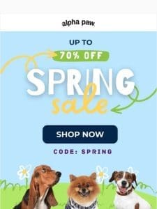 ? Spring SAVINGS Continue… All Weekend Long!