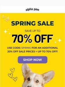 ? Spring Savings Countdown: Grab Your Dog’s Favorites Now!