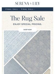 Step on it. Final call for our rug sale.