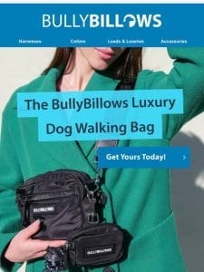 Stylish & Functional: Our New Dog Walking Bags