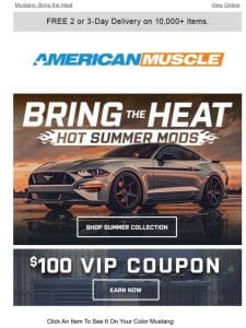 Summer Collection + $100 VIP Coupon ?