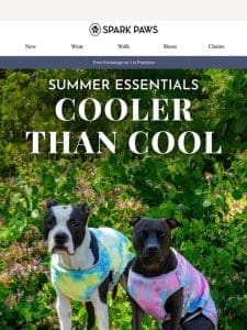 Summer Essentials: Cooler than Cool ?