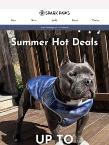 Summer Hot Deals Your Pup Will Love