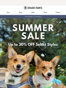 Summer Sale – Up to 30% OFF