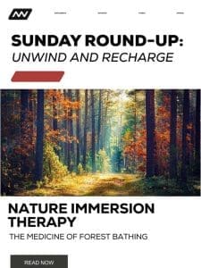 Sunday Round-Up: Unwind And Recharge