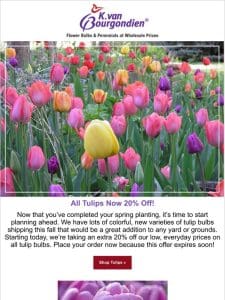 Take 20% off our entire stock of tulip bulbs!