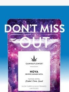 That was fast! ? Nova Indoor!? Almost Gone