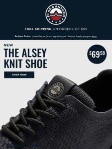 The Alsey Knit Shoe