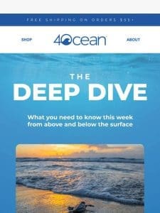 The Deep Dive