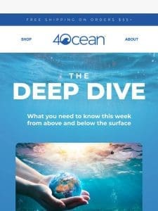 The Deep Dive