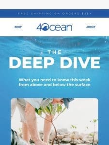 The Deep Dive