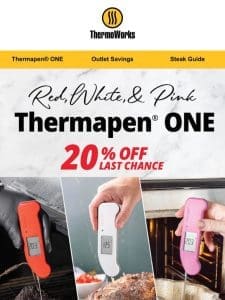 Thermapen ONE: The Secret to Culinary Success at Home (and restaurants)