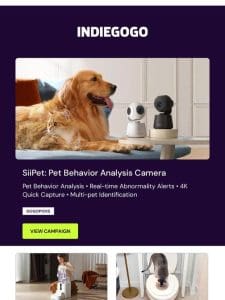 This camera captures pet behavior， sends real-time alerts， and identifies multiple pets