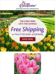 This shipping special is your reward for ordering early