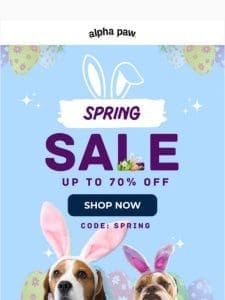 ? Tick-Tock! Lock in Spring SALE Savings!