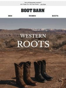 Timeless Cowboy Boots