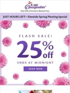 Time’s almost up! 25% off Flash Sale ?