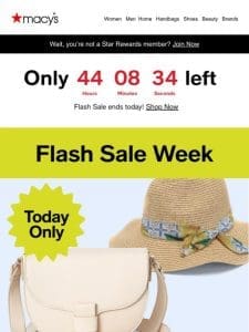 Today only—two incredible Flash Sales!