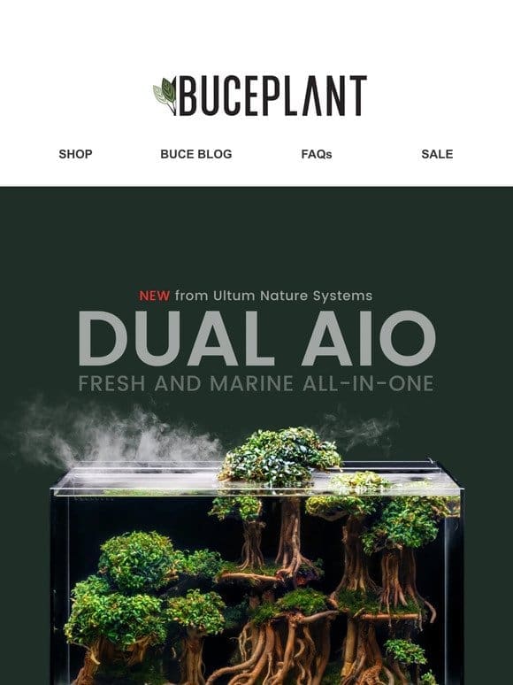 Top-Rated AIO Aquariums + Amano Shrimp