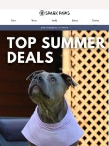 Top Summer Deals!