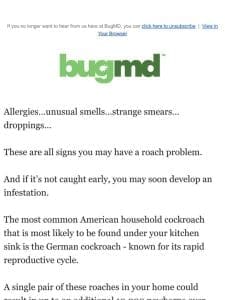 Top signs of a roach problem