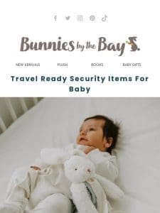 Travel Ready Security Items for Baby ?