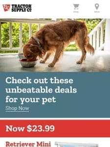 Unbeatable Deals for your Pets