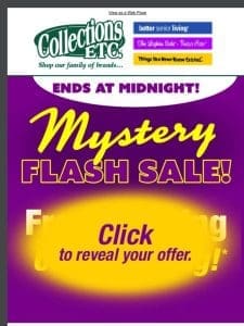 ? Unlock the Mystery: One Day Only Sale!