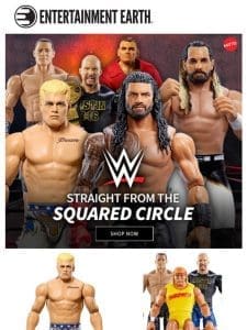 WWE Action Figures – Enter the Ring!