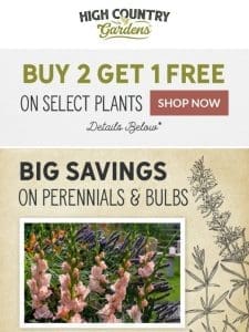 Waterwise Plants | Buy 2 Get 1 Free