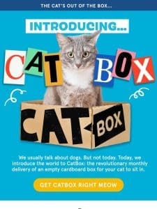 We now make stuff for cats. Welcome to CatBox.